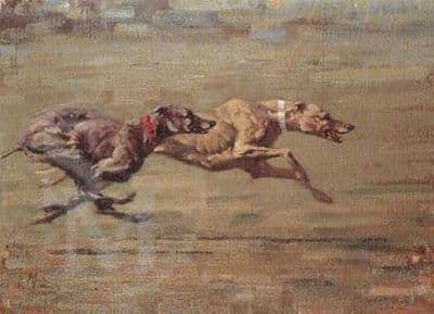 Greyhound Blank Greetings Card 'Power and Speed' by Malcolm Coward  B23
