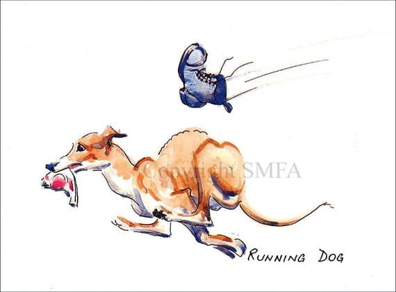 Greyhound Dog Funny Blank Greetings Card 