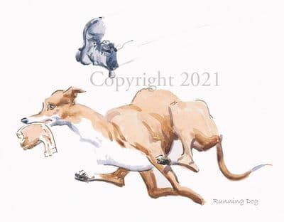 Greyhound Limited Edition Print 'Running Dog' by Malcolm Coward