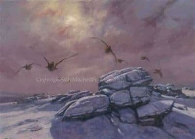 Grouse Christmas Cards 'Grouse Over' by John Trickett C545X