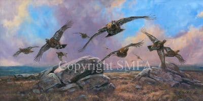 Grouse Limited Edition Canvas Print 'Grouse Forward' by John Trickett