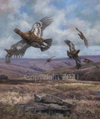 Grouse Limited Edition Print 'Grouse Days' by John Trickett