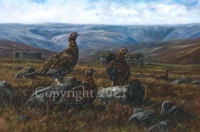Grouse Limited Edition Print 'Out of Season' by John Trickett