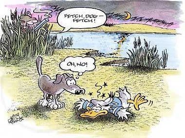 Gundog Humorous Blank Greetings Card 'Fetch' by Keith Reynolds C314