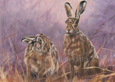 Hare Blank Greetings Card 'Harebrained!' by John Trickett C535