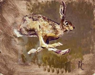 Hare Blank Greetings Card 'On the Run'  by Malcolm Coward C204