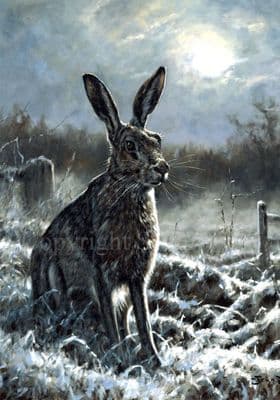 Hare Christmas Cards 'Moonstruck' by John Trickett C347X