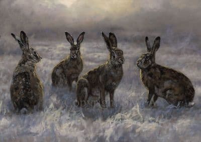 Hare Christmas Cards 'The Usual Suspects' by John Trickett C391X