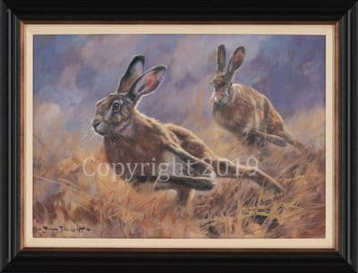 Hare Limited Edition Canvas Print 'Dashing' by John Trickett