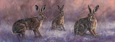 Hare Limited Edition Canvas Print 'Haring to Go!' by John Trickett