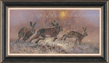 Hare Limited Edition Canvas Print  'On the Run' by John Trickett