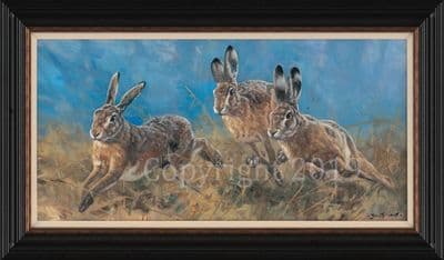 Hare Limited Edition Canvas Print 'The Race' by John Trickett