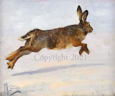 Hare Limited Edition Print 'Bounding Along' by Malcolm Coward