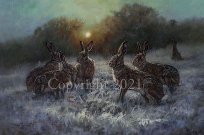 Hare Limited Edition Print 'By the Light of the Moon' by John Trickett