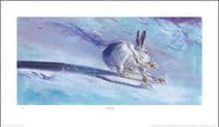 Hare Limited Edition Print 'Dashing' by Jonathan Walker
