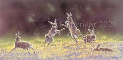 Hare Limited Edition Print 'Round One' by Paul Doyle