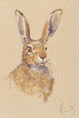 Hare Limited Edition Print 'Study of a Brown Hare' by Malcom Coward