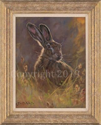 Hare Original Oil Painting 'Autumn Highlight' by John Trickett