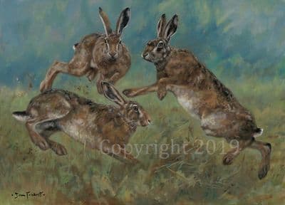 Hare Original Oil Painting 'March Madness' by John Trickett