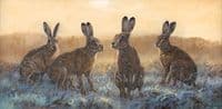 Hare Original 'Tense Moments' by John Trickett