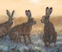 Hare Original 'Tense Moments' by John Trickett