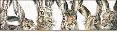 Hare Signed Open Edition Print 'Hareline' by Paul Doyle