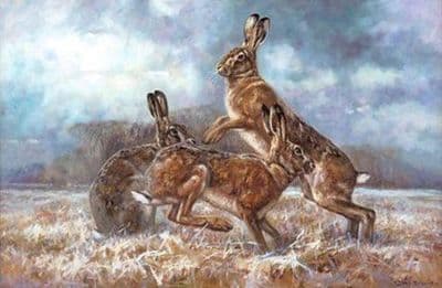 Hare Wildlife Christmas Cards 'That Time of Year Again' by John Trickett C431X