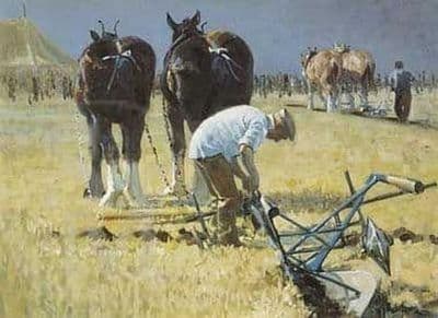 Heavy Horse Blank Greetings Card 'Fine Tuning' by Malcolm Coward  B158