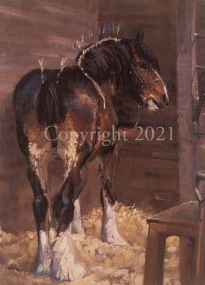 Heavy Horse Blank Greetings Card 'In Make Up' by Malcolm Coward C32