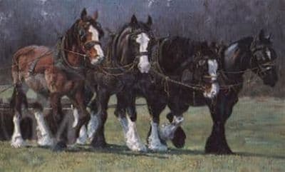 Heavy Horse Blank Greetings Card  'Rolling Along' by Malcolm Coward CS4