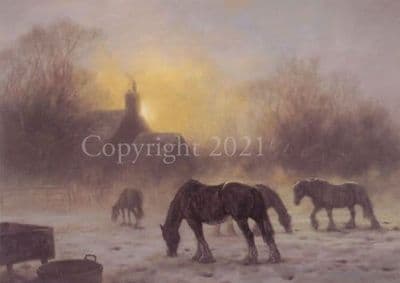 Heavy Horse Blank Greetings Card 'Winter Glow' by John Trickett C71