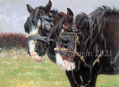 Heavy Horse Blank Greetings Card 'Workers' by Malcolm Coward C33