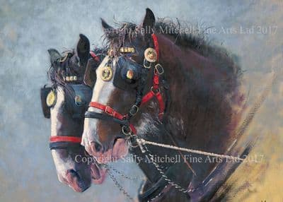 Heavy Horse Blank Greetings Card 'Working Partnership' by Malcolm Coward C537