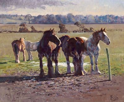 Heavy Horse Limited Edition Print 'At The Fence' by Malcolm Coward