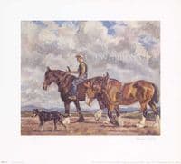 Heavy Horse Limited Edition Print 'Homeward Bound' by Sarah Grice