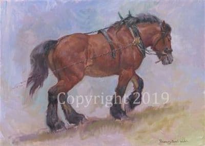 Heavy Horse Original Oil Painting 'Ardennes' by Rosemary Sarah Welch