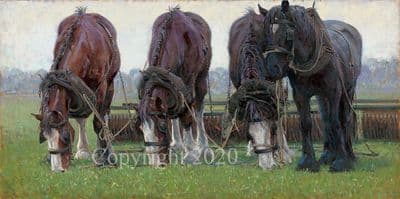 Heavy Horse Original Painting 'Snatching a Bite' by Malcolm Coward