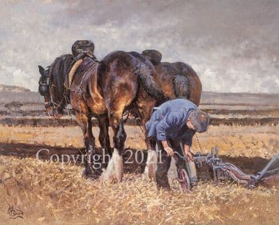 Heavy Horse Ploughing Limited Edition Print 'Fine Tuning' by Malcolm Coward