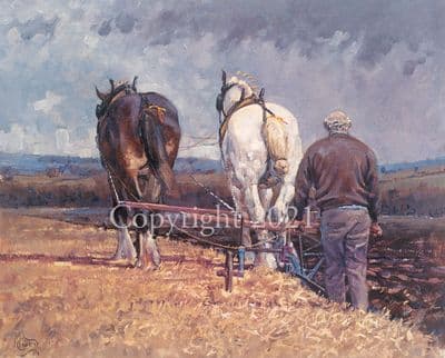 Heavy Horse Ploughing Limited Edition Print 'Ploughing' by Malcolm Coward