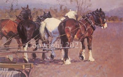 Heavy Horse Ploughing Limited Edition Print 'Rolling Off' by Malcolm Coward