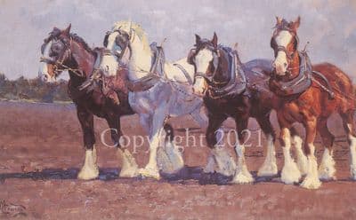 Heavy Horse Ploughing Limited Edition Print 'Rolling On' by Malcolm Coward