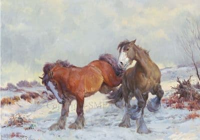 Heavy Horses in the Snow Christmas Cards 'Winter Playmates' by Rosemary Sarah Welch C492X
