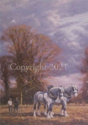 Heavy Horses Ploughing Blank Greetings Card 'Autumn' by John Trickett C138