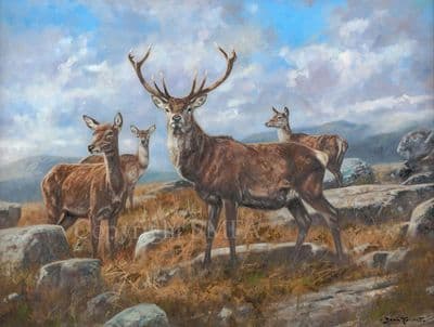 Holding Hinds' Ltd Edition canvas Stag print by John Trickett