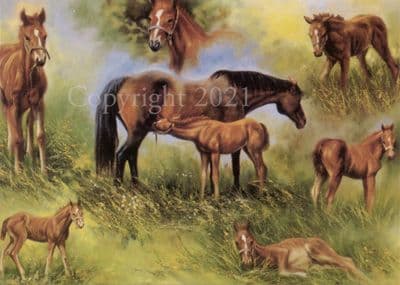 Horse and Foal Blank Greetings Card 'Susie's Baby' by Mick Cawston B3