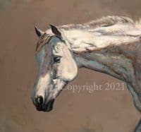 Horse and Foal Limited Edition Print 'Grey Mare and Foal' by Malcolm Coward