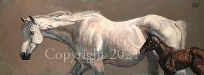 Horse and Foal Limited Edition Print 'Grey Mare and Foal' by Malcolm Coward
