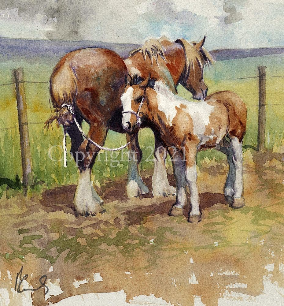 Horse and Foal Limited Edition Print In Tow by Malcolm Coward