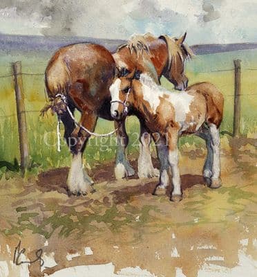 Horse and Foal Limited Edition Print 'In Tow' by Malcolm Coward