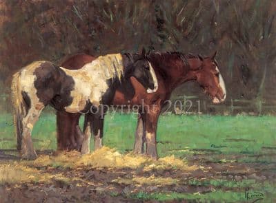 Horse Blank Greetings Card 